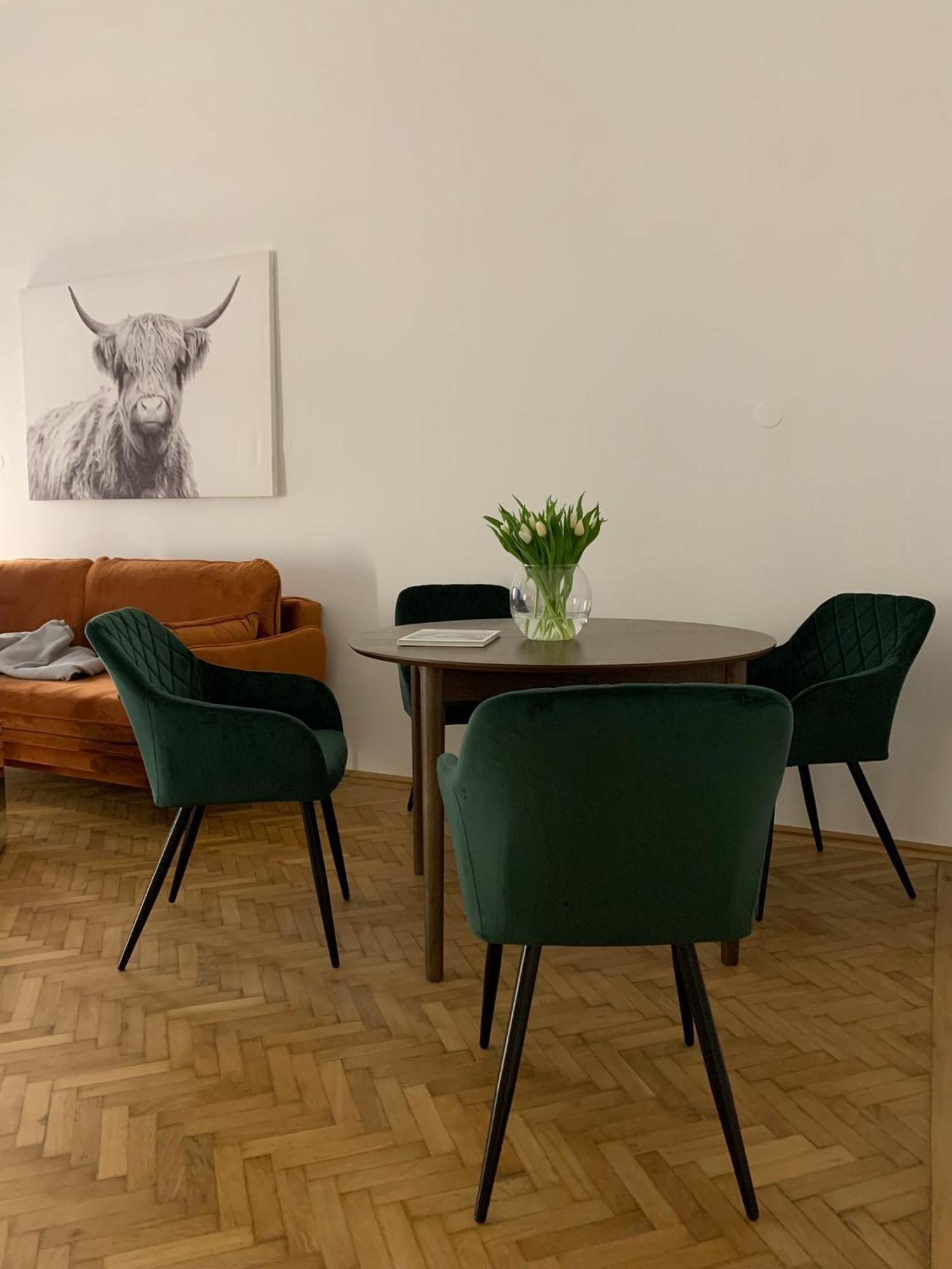 Mit Gefuehl Und Stil Apartment Wien